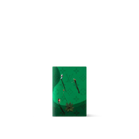 Copertina Passaporto LV