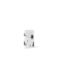 Copertina Passaporto LV