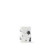 Copertina Passaporto LV